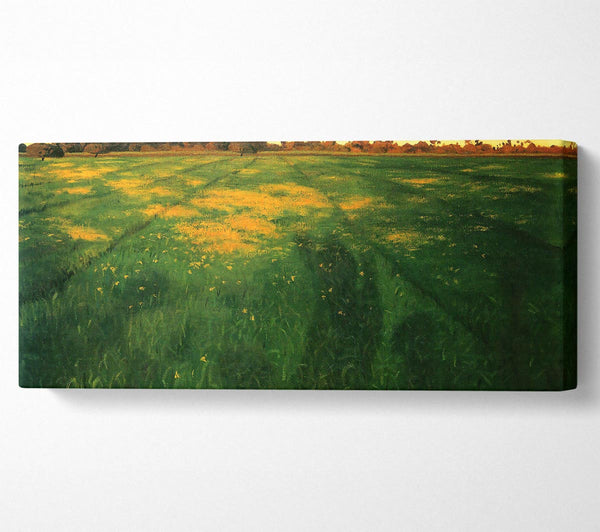 Felix Vallotton Field Of Green Oats