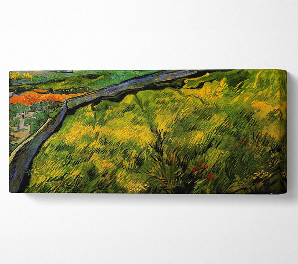Van Gogh Field Of Spring Wheat At Sunrise
