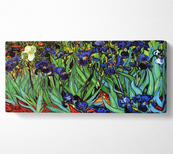 Van Gogh Schwertlilien 2