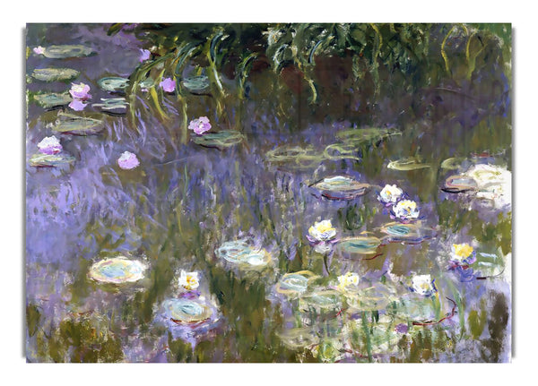 Monet Seerosen
