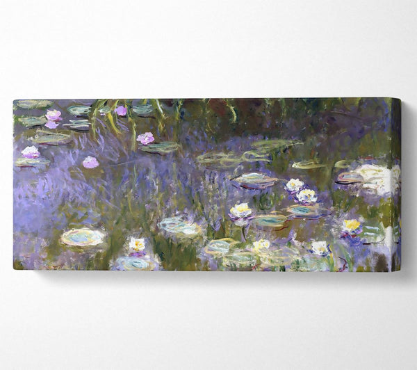 Monet Seerosen