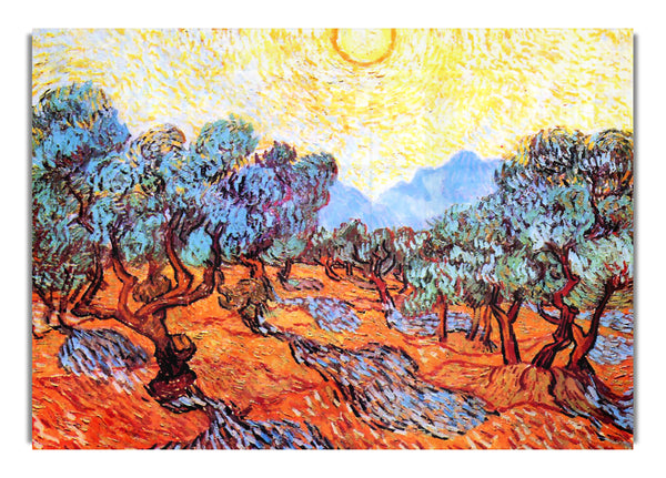 Olivenhain von Van Goghb