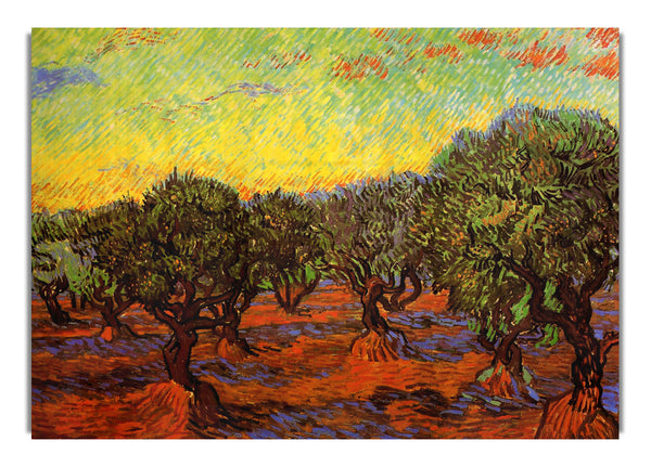 Olivenhain, orangefarbener Himmel, von Van Gogh