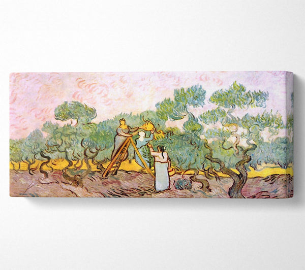 Van Gogh Olive Pickers