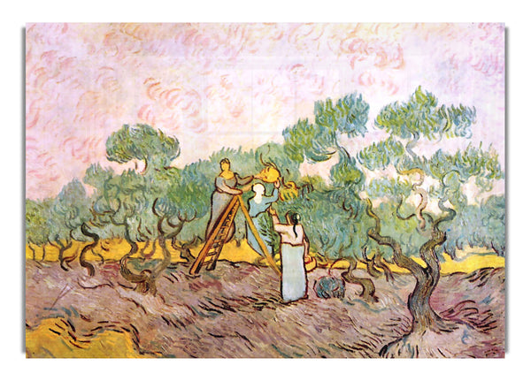 Olivenpflücker von Van Gogh
