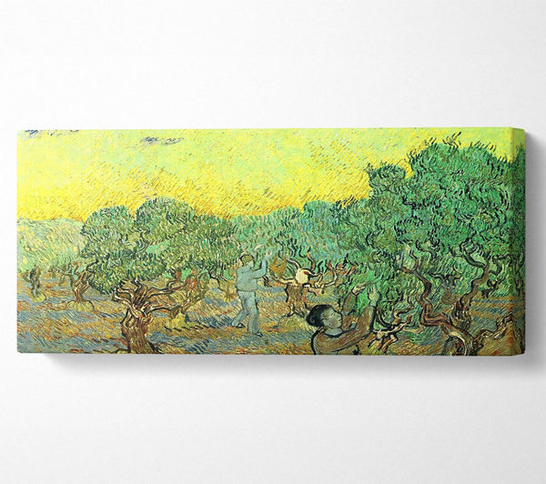 Van Gogh, Olivenpflücker in einem Hain