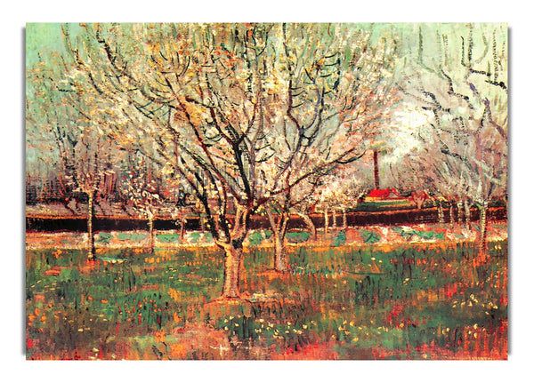 Obstgarten in blühenden Pflaumenbäumen von Van Gogh