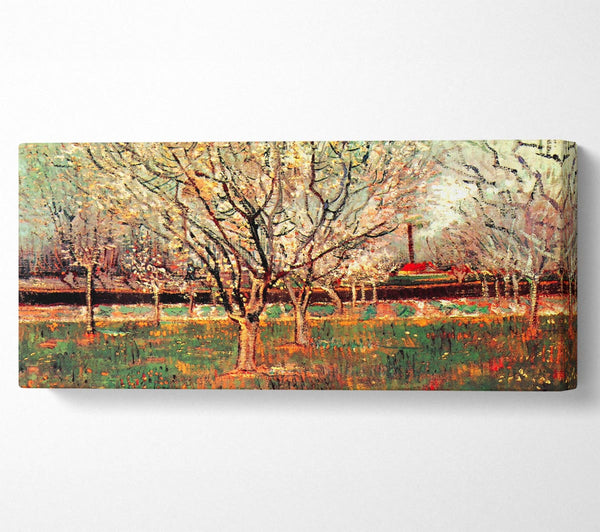 Van Gogh Orchard In Blossom Plum Trees