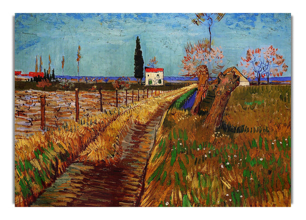 Weg durch ein Feld mit Weiden von Van Gogh