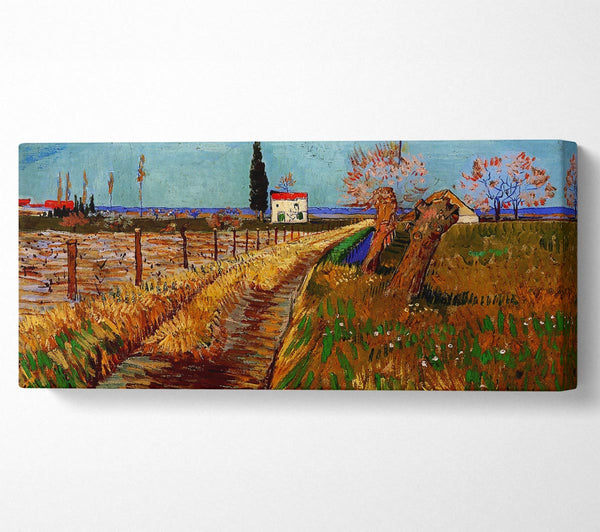 Van Gogh Path Through A Field With Willows