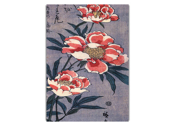 Pfingstrosen von Hiroshige