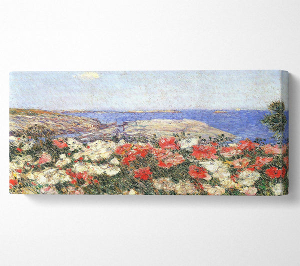 Hassam Poppies On The Isles Of Shoals