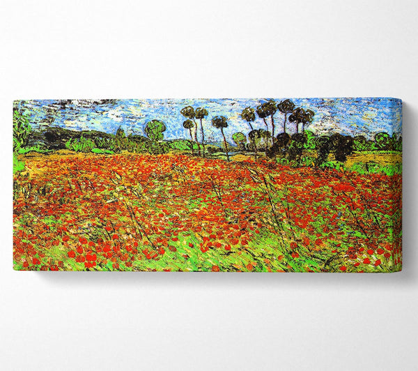 Van Gogh Poppy Fields
