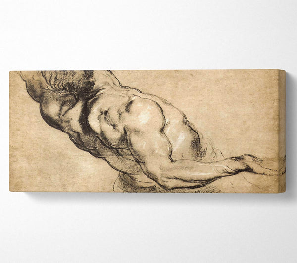Rubens, Studie eines menschlichen Torsos