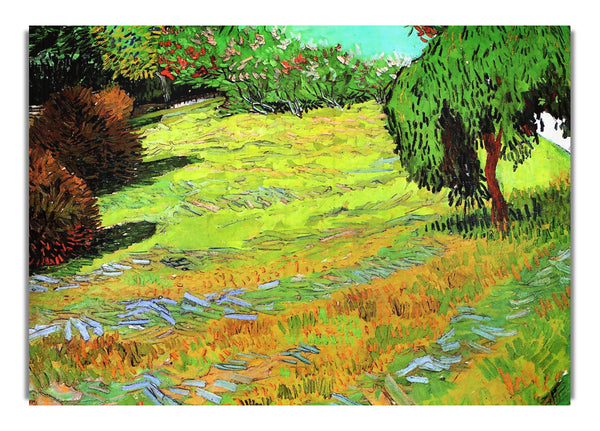 Sonniger Rasen in einem öffentlichen Park von Van Gogh