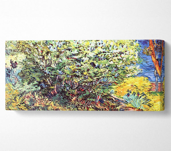 Van Gogh The Bush