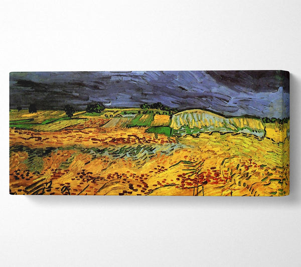 Van Gogh The Fields