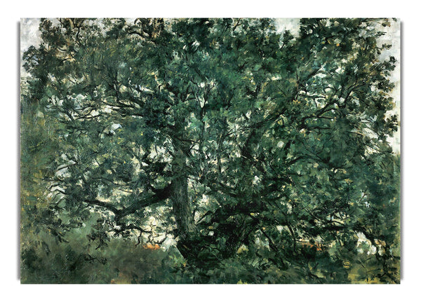 Tree By Lovis Corinth