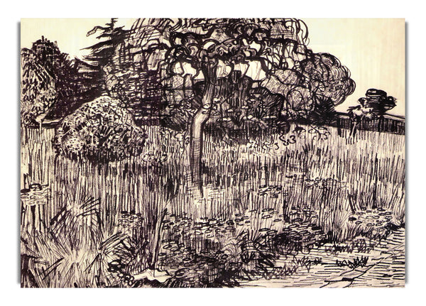 Tree In A Meadow By Van Gogh