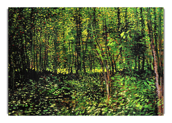 Trees And Undergrowth [2] By Van Gogh