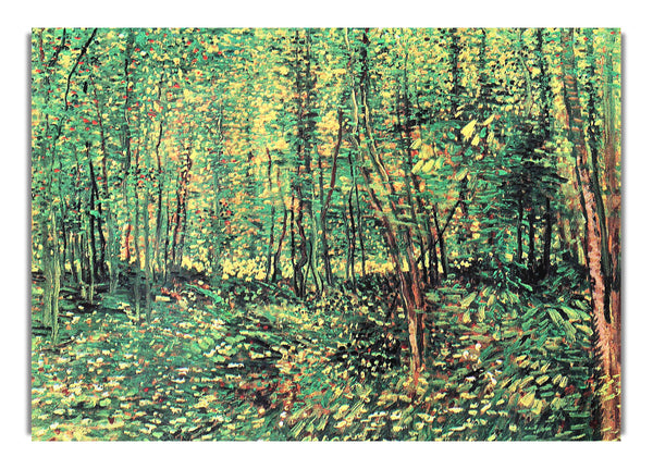 Trees And Undergrowth By Van Gogh