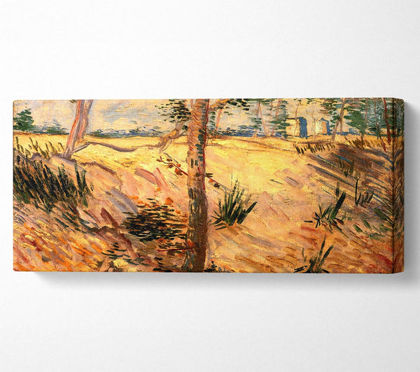 Van Gogh Trees In A Field On A Sunny Day