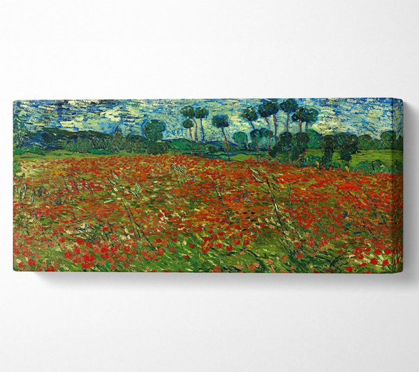 Van Gogh Poppy Field