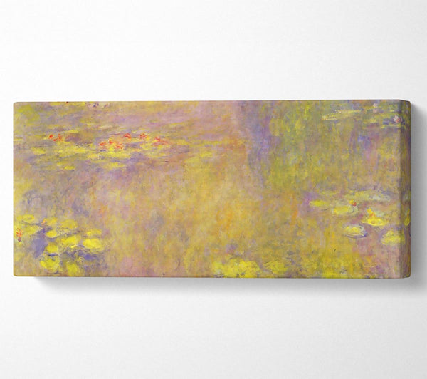 Monet Seerosen - Gelbes Nirvana