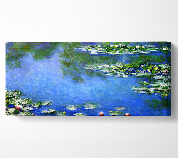 Monet Seerosen in Monets Garten