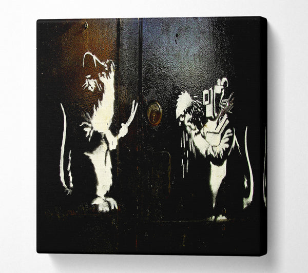 A Square Canvas Print Showing Crooked Rats Square Wall Art