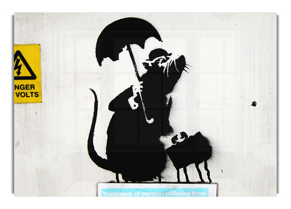 Electrical Rat