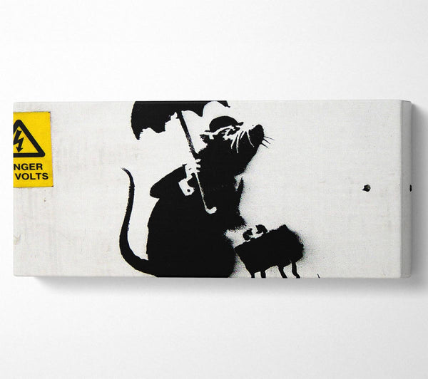 Electrical Rat