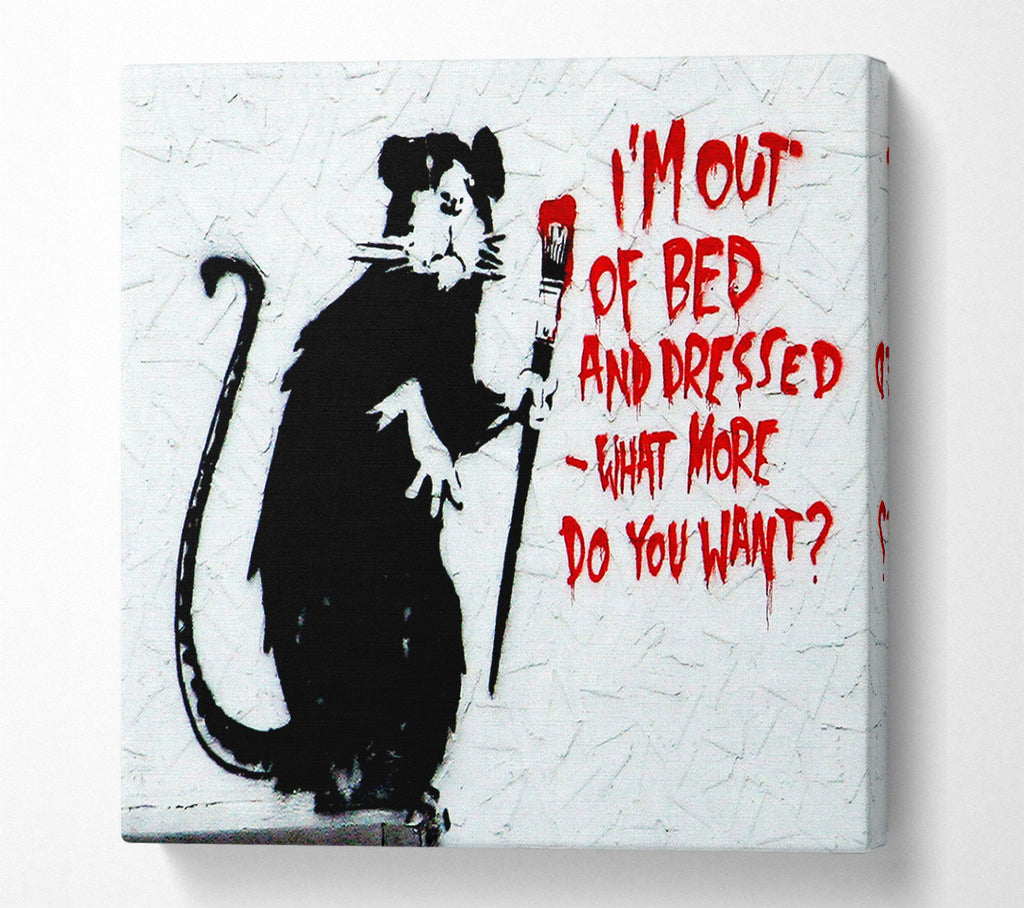A Square Canvas Print Showing Im Out Of Bed And Dressed What More Do You Want Rat Square Wall Art