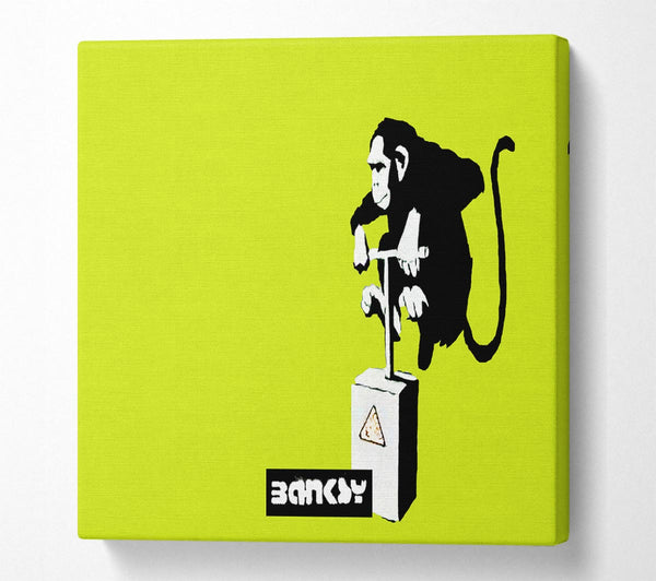 Picture of Monkey Detonator Lime Square Canvas Wall Art