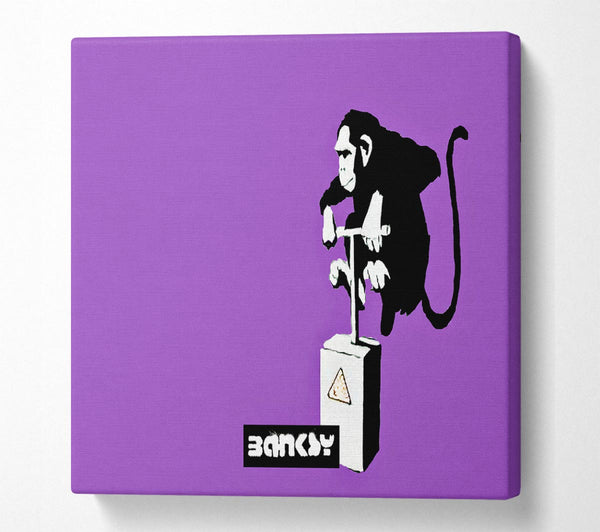 Picture of Monkey Detonator Purple Square Canvas Wall Art