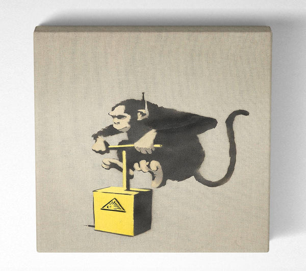 Picture of Monkey Detonator Square Canvas Wall Art