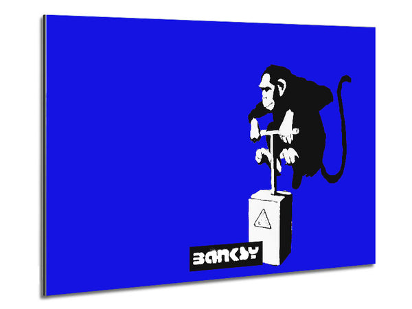 Monkey Detonator Blue