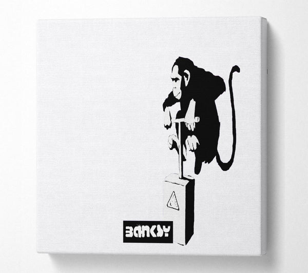 Picture of Monkey Detonator White Square Canvas Wall Art
