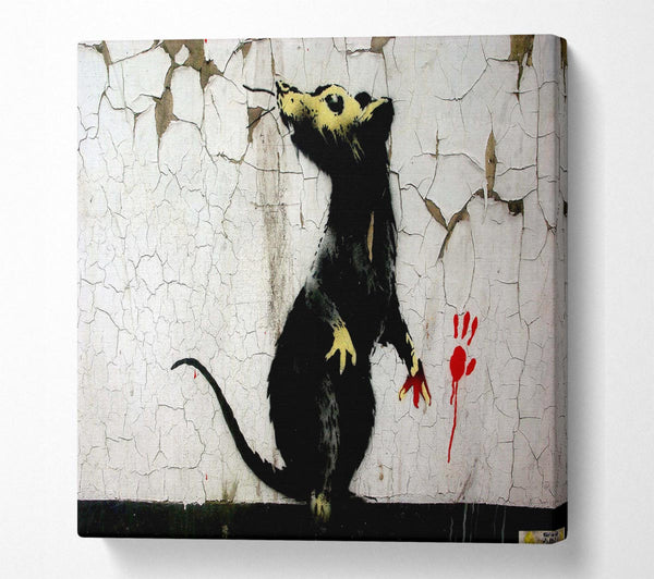 Picture of Rat Paw Square Canvas Wall Art