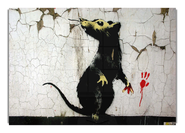 Rat Paw