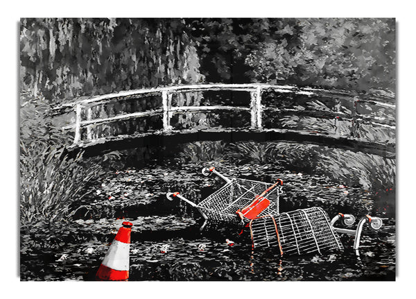 Waterlily Trash B~w Colour