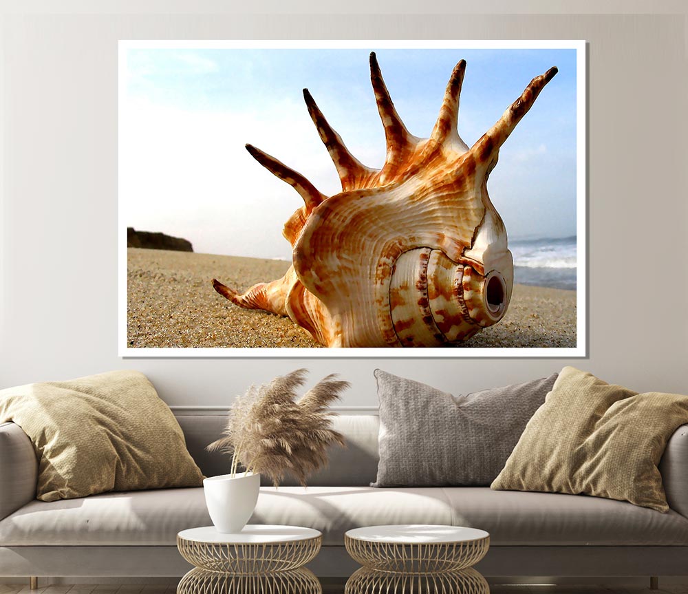 Whelk Shell On The Beach Print Poster Wall Art