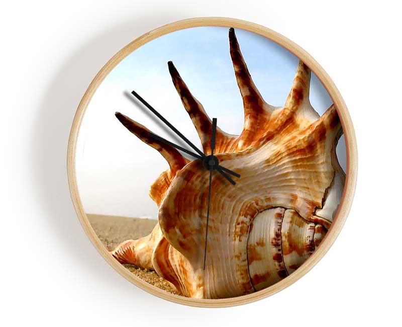 Whelk Shell On The Beach Clock - Wallart-Direct UK