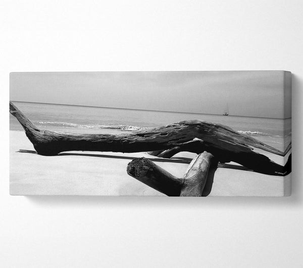 Ocean Drift Wood On The Shore B n W