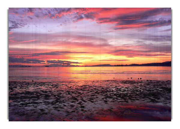 Comox Sunrise