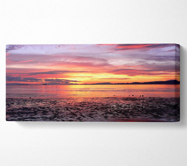 Pebbles In the Morning Sunrise