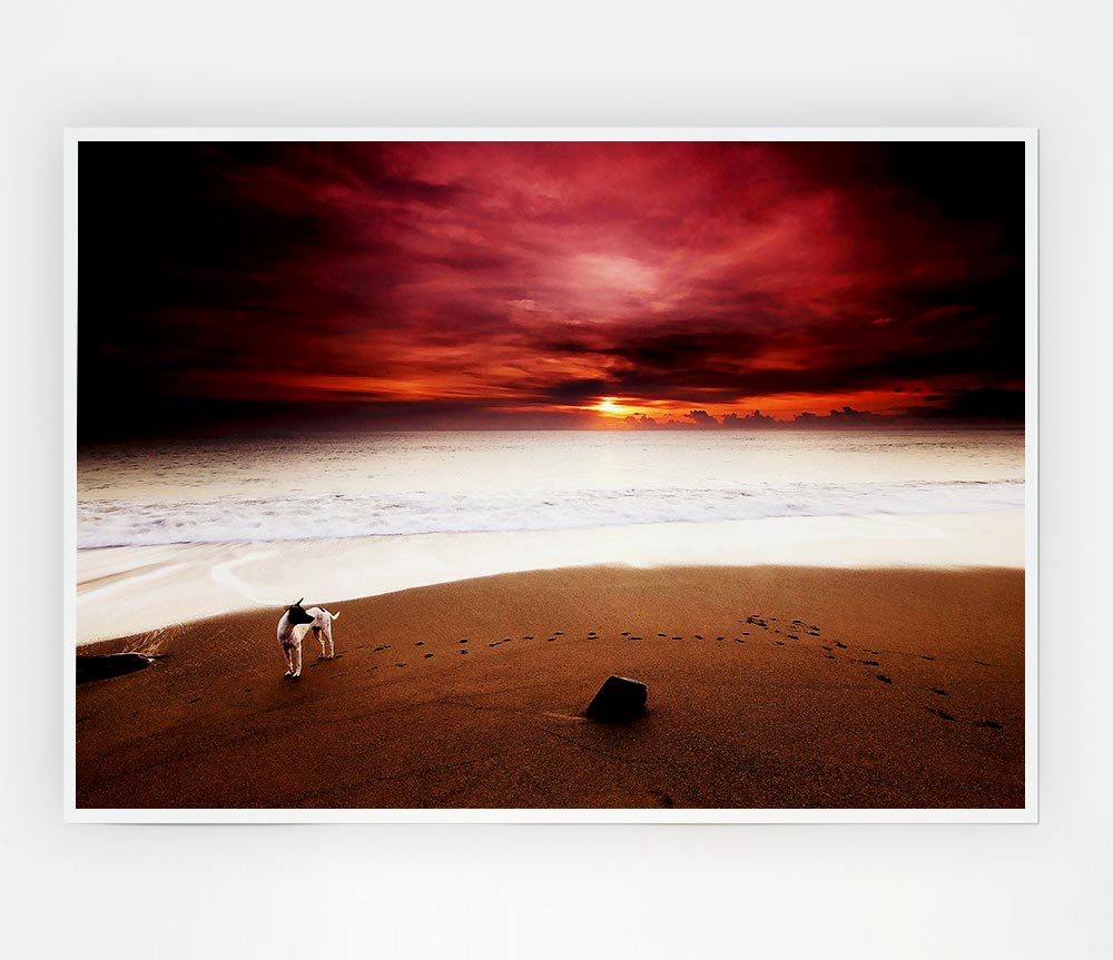 Dog On The Sunset Beach Print Poster Wall Art