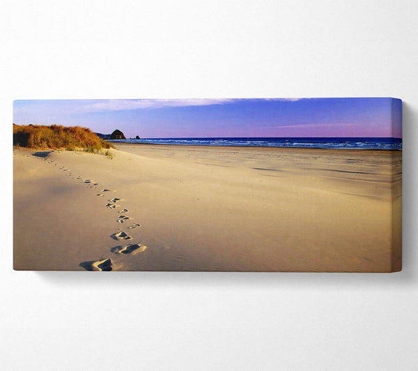 Footprints Of Time