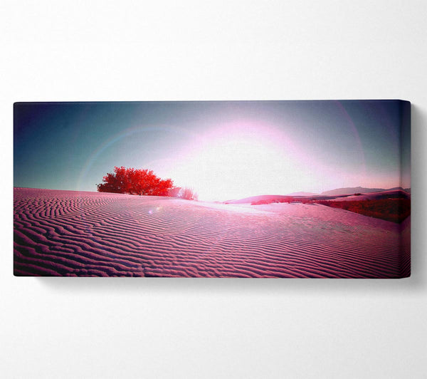Desert Flare