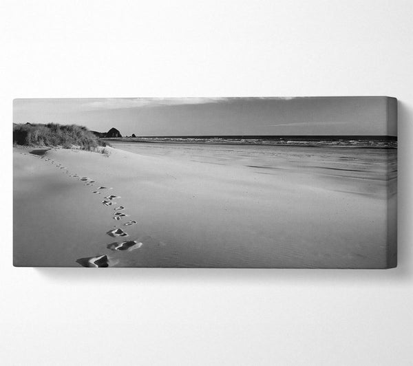 Footprints B n W